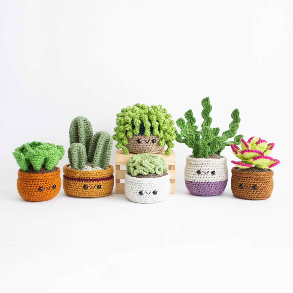 Cactus Garden Pot Holders