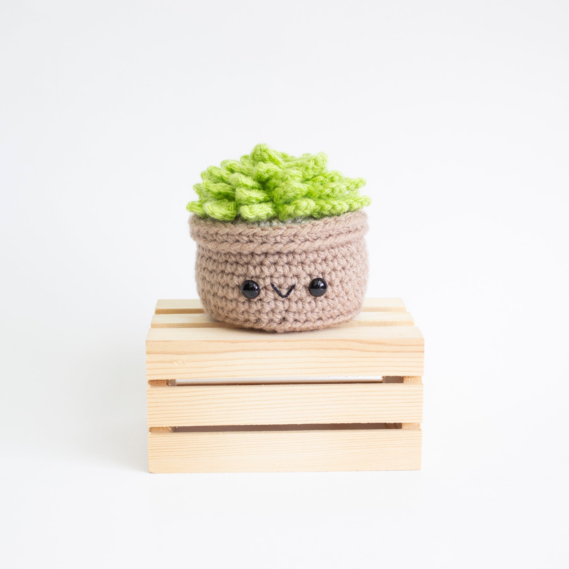 Crochet Succulent Pattern - House Plant