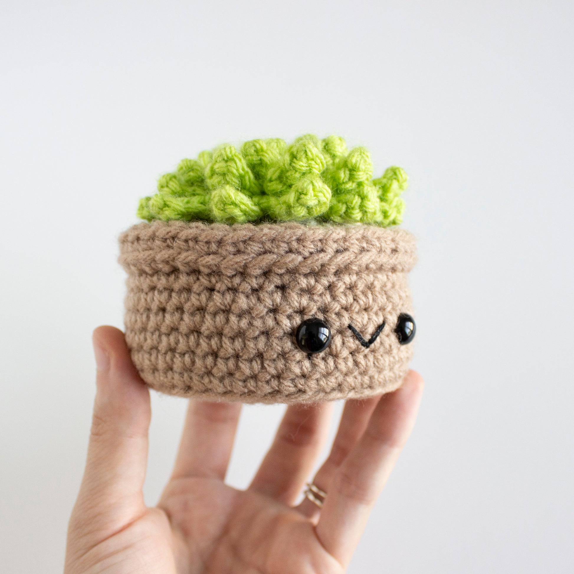 Amigurumi Succulent - Crochet Pattern - Amigurumi House Plants